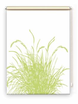 Rollo Reed24 Apfel blanco, Rollo, Motivrollo, Rollo mit Druck, Fotorollo, bedrucktes Rollo, Fensterrollo,verdunkelndes Rollo, Sonnenschutz Rollo